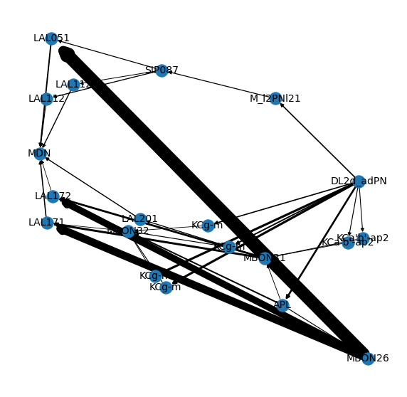 ../_images/tutorials_connectomics_57_0.png