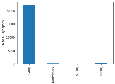 ../_images/tutorials_connectomics_43_1.png