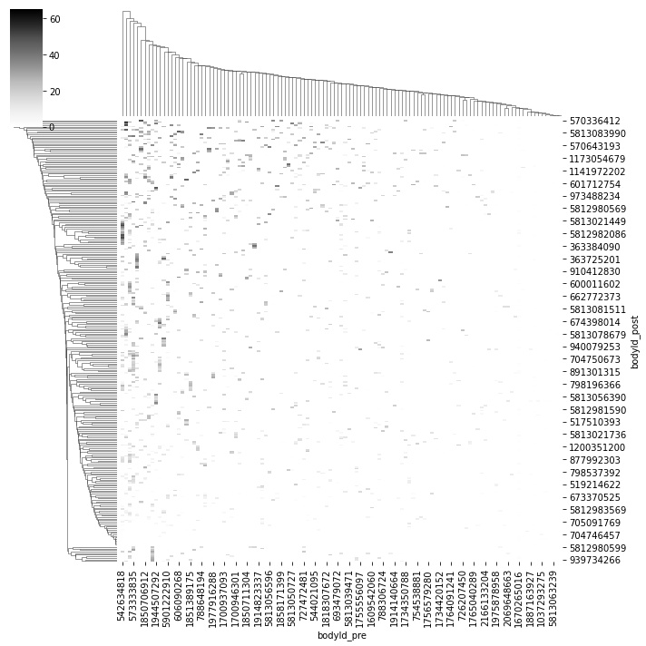 ../_images/tutorials_connectomics_45_2.png