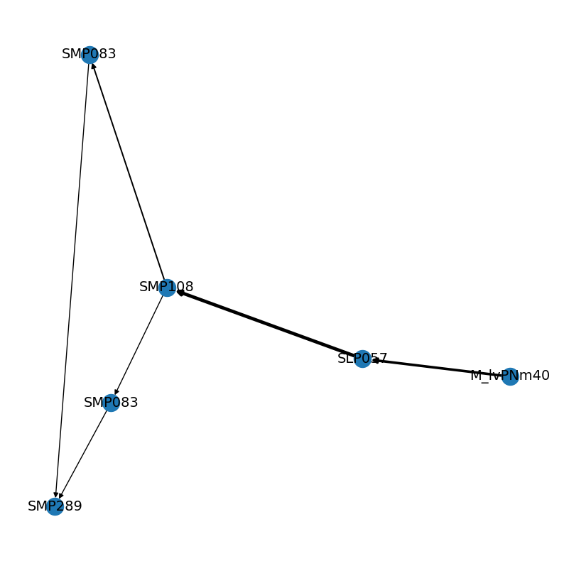 ../_images/tutorials_connectomics_60_0.png