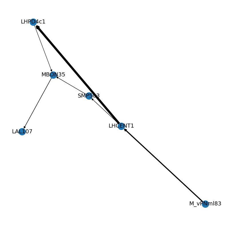 ../_images/tutorials_connectomics_60_0.png