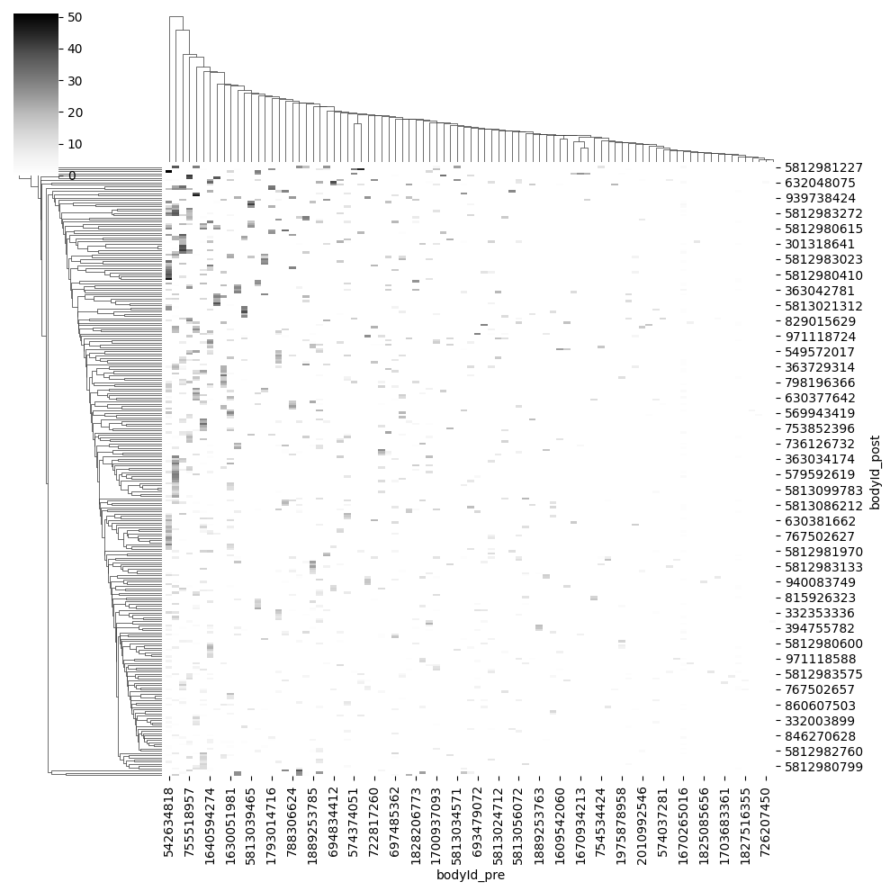 ../_images/tutorials_connectomics_48_2.png