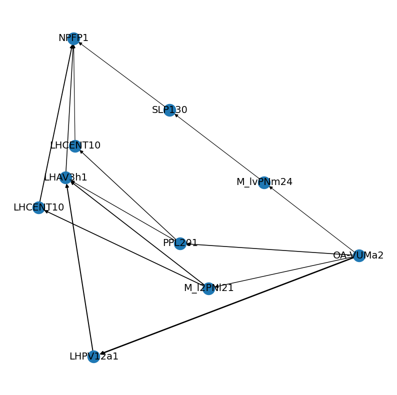 ../_images/tutorials_connectomics_60_0.png