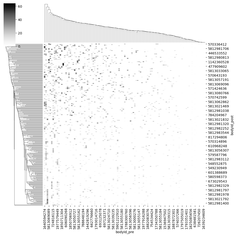 ../_images/tutorials_connectomics_48_2.png