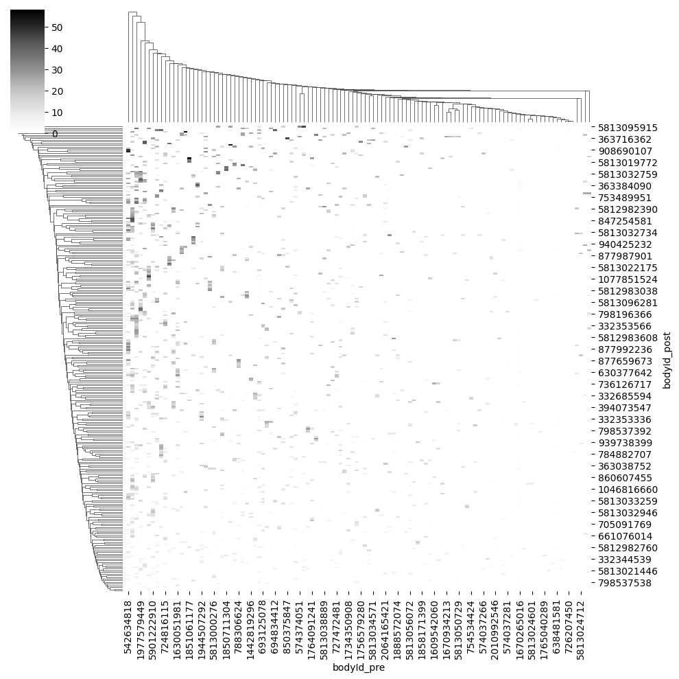 ../_images/tutorials_connectomics_48_2.png