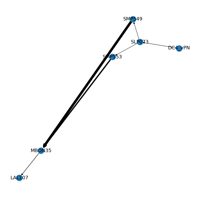 ../_images/tutorials_connectomics_60_0.png