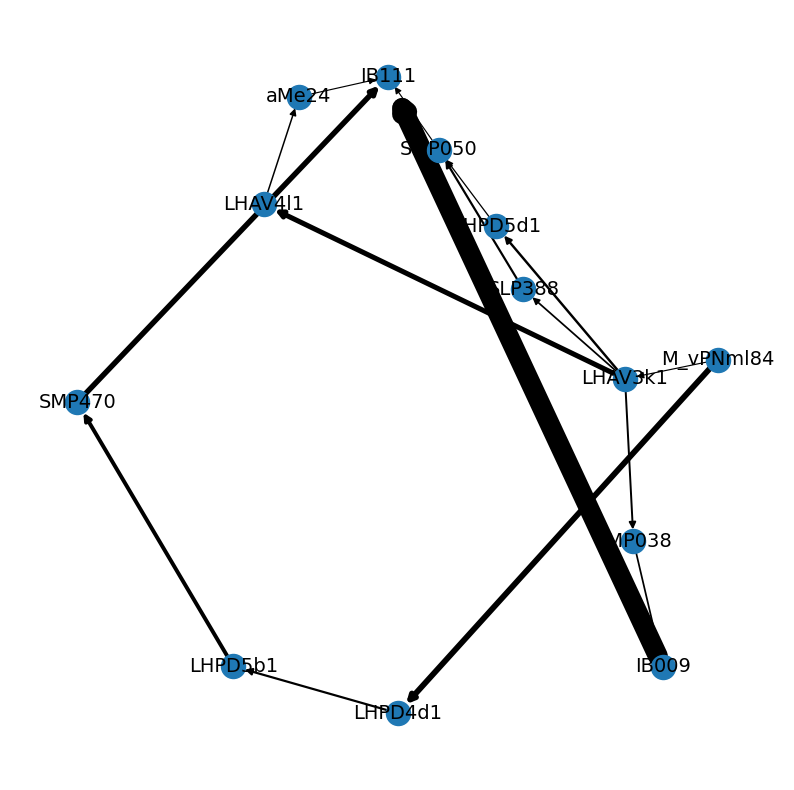 ../_images/tutorials_connectomics_59_0.png