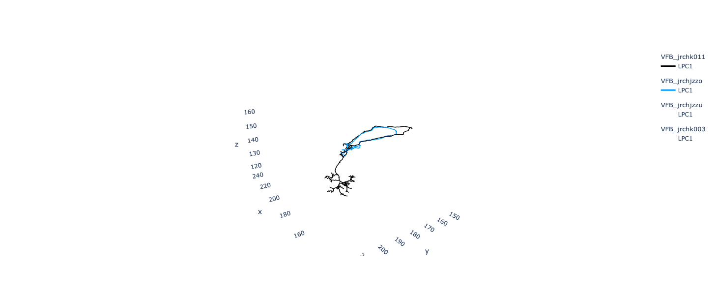 ../_images/tutorials_vfb_neurons_13_1.png