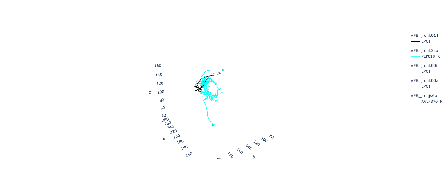 ../_images/tutorials_vfb_neurons_12_2.png